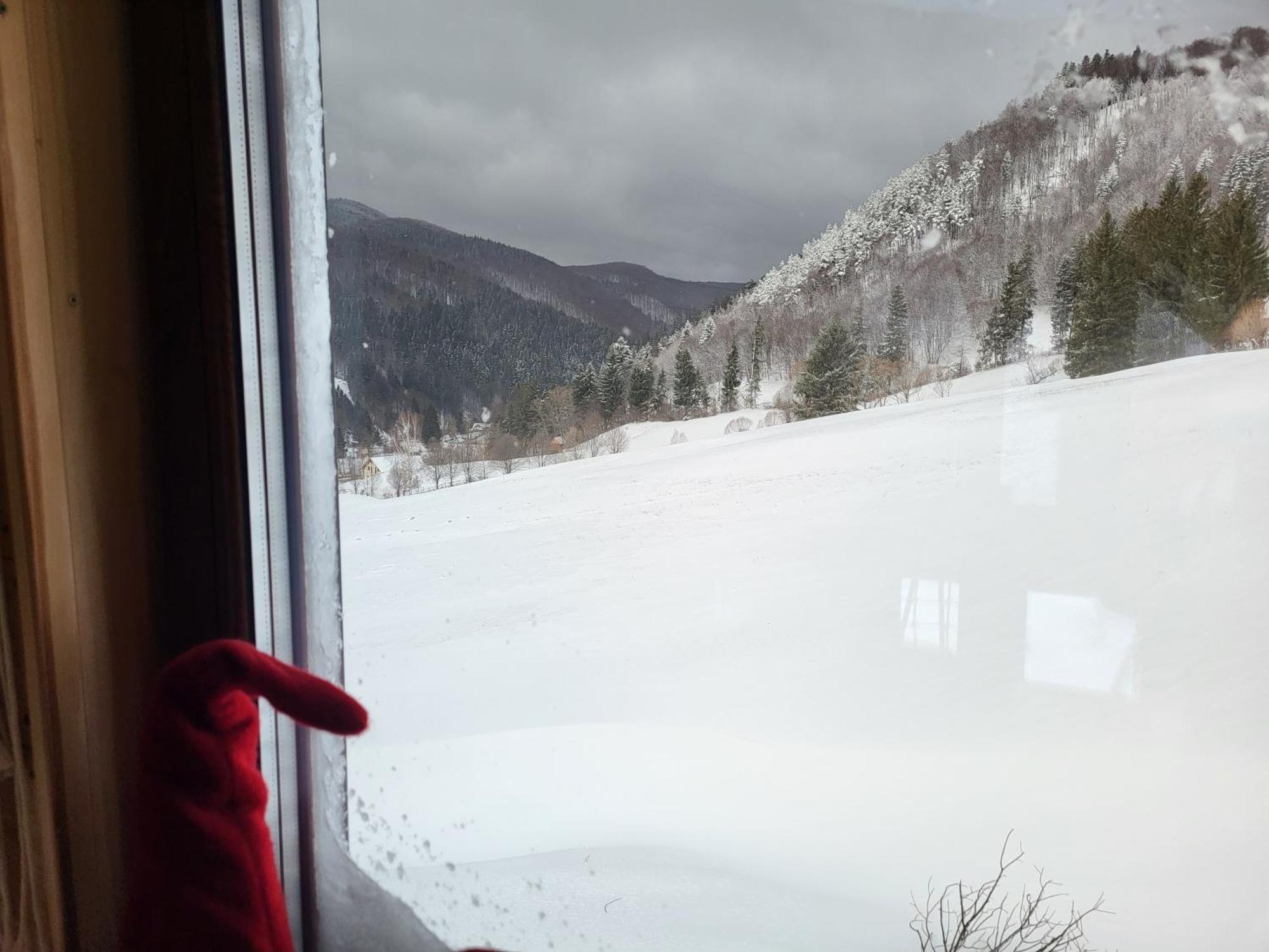 Holiday home Refugiul Din Vama Vama Buzaului